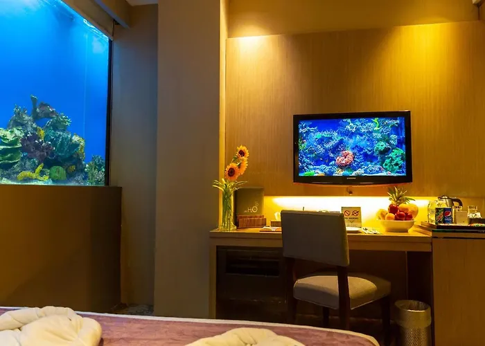 King Room
